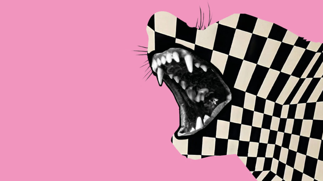 VISUELS ANCRE 2026 04