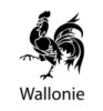 Logo Wallonie